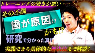 【筋トレ】歯と筋肉に関する、少し奇妙で重要な話。