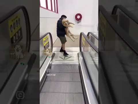 Друзья ?