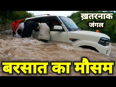 बरसात का मौसम, खतरनाक जंगल का रास्ता | Rainy season, dangerous jungle road | Vindhyavasini Temple |