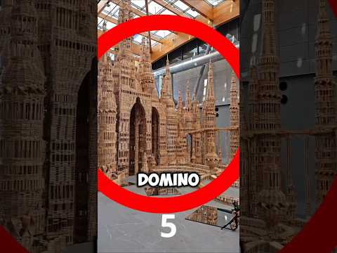 Is This the Most Beautiful Domino Collapse You’ve Ever Seen? 🧩✨