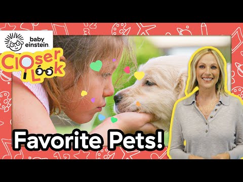 A Closer Look at Pet Animals! | Baby Einstein | Learning Show for Toddlers | Education for Kids
