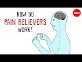 Understanding Pain and Painkillers