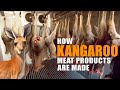 Kangaroo Meat Processing and Management