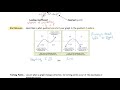 Understanding Polynomial Functions and Their Characteristics