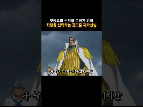 옛동료의 손자를 구하기 위해 희생을 선택하는 참으른 제파선생 #onepiece #원피스