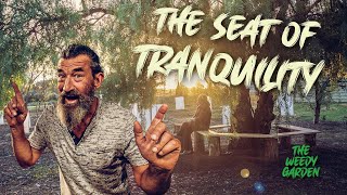 Building the Seat of Tranquility around an old tree