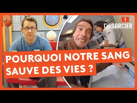 Pourquoi notre sang sauve des vies ? - C'est pas sorcier