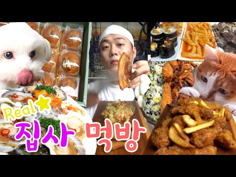 몰래 훔쳐먹는 고양이&강아지/ 오겹살, 교촌, 해산물, 쭈꾸미 etc