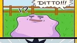POKEMON MEMES V24