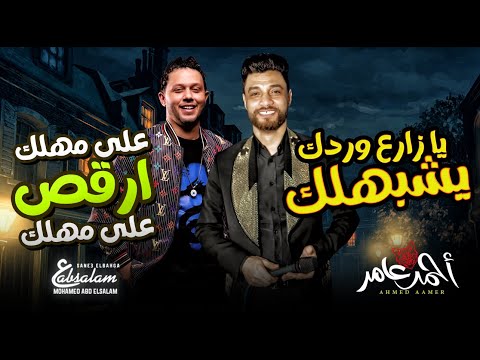 يا زارع وردك يشبهلك ( على مهلك ارقص على مهلك ) احمد عامر و عبسلام / شعبى جديد 2022