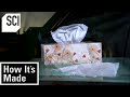 Tissue Production and Characteristics