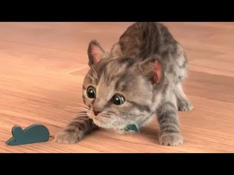 Lindo Gatito | Dibujos Animados Infantiles (Capítulo 4)
