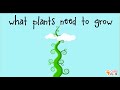 Seed Growth Requirements and Processes