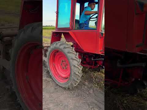 Т-25 копає картоплю