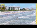 Shark Attack Hotspot: New Smyrna Beach