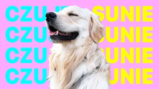 CZUJE SUNIE (TikTok) [WERSJA 1H]