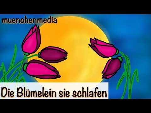 🌛 Die Blümelein sie schlafen - Kinderlieder deutsch | entspannende Schlafmusik | Baby Schlaflieder