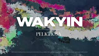 Wakyin - Peligrosa [Ultra Records]