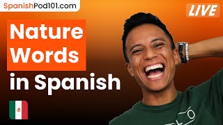 Do You Know These Nature Related Words in Spanish | Learn Spanish Vocabulary