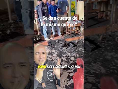 Visitemos todos los días a Jesus, que está realmente presente en cada Sagrario.