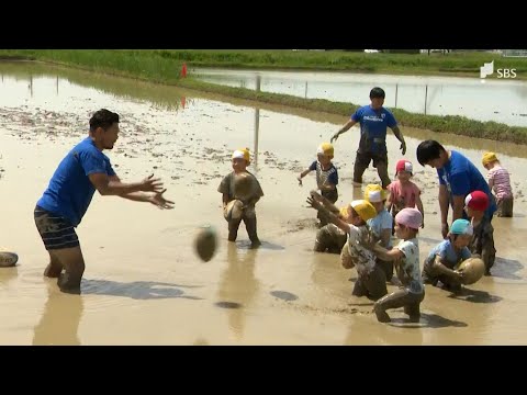 「足がドバドバになって抜けない」田んぼで泥だらけ園児が静岡ブルーレヴズ選手とラグビー遊び＝静岡・袋井市