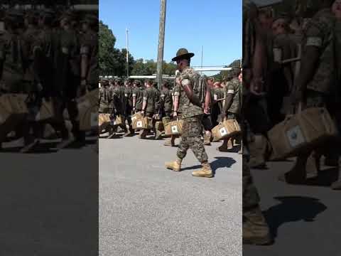 Marines March #shorts #bootcamp #armedforces #militaryexercise #mcrd #military #usmc #usmilitary