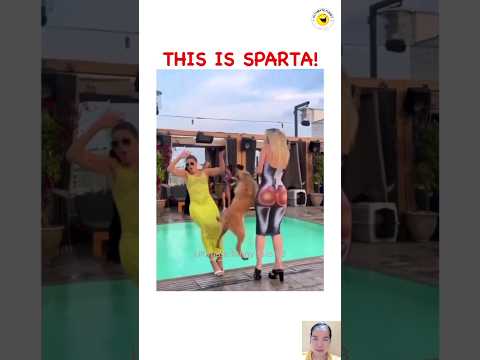 Big Fails #funny #fails #funnyfails #funnyvideo #viral #shorts