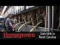 Dairy Industry Knowledge Assessment