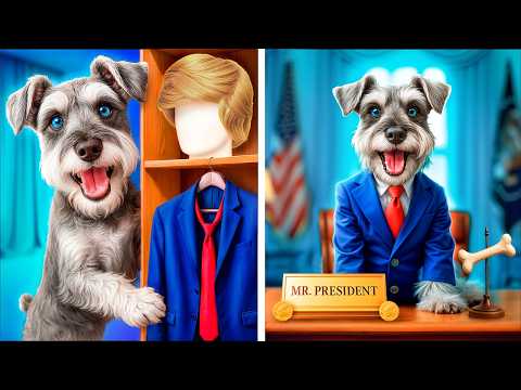 Моя собака – президент! Лайфхаки для владельцев животных