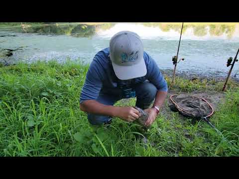 PESCANDO en el rió con lombriz - Pesca con Anzuelo