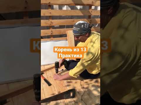 Корень из 13. Практика