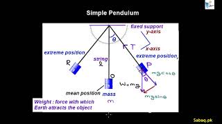 Simple Pendulum