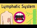 Understanding the Lymphatic System