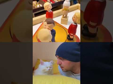 This is the only way to kiss your cutie cat ? #shorts