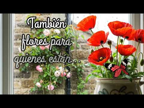 🌺🌿FELIZ MIÉRCOLES 🌺🌿 buenos días 🌞