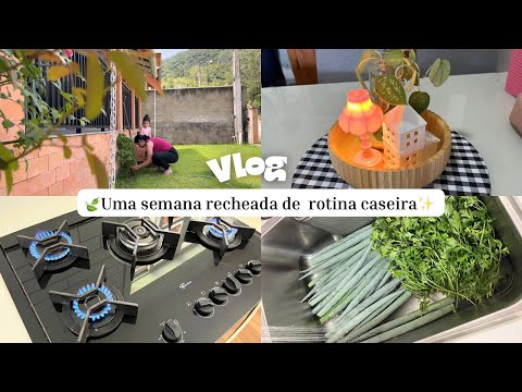 VLOG DA SEMANA 🏡UM LIVRAMENTO ❤️faxina na cozinha, Shein Home e horta