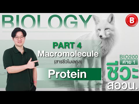 ทดลองเรียนBiO200สอวน.ชีวะค่าย1สอนโดยพี่กิตPart4Macromolecule