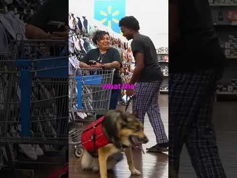 My Chat Controlled My Dog’s Thoughts in Walmart😂 #kaneljoseph