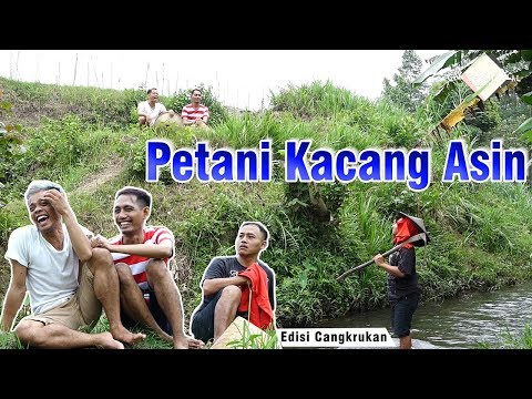 Curhatan Petani Kacang Asin cak percil komedi