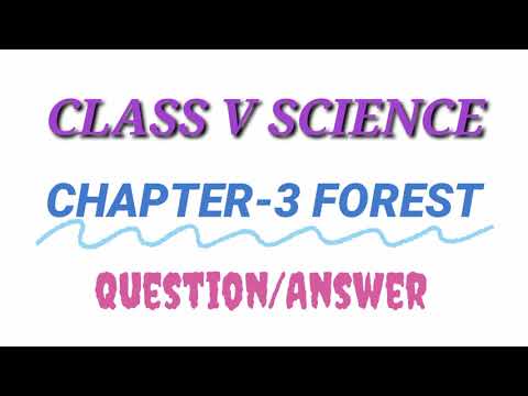 DAV Class 5 Science Chapter 3 forest Question and...