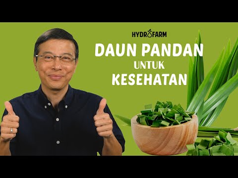 DAUN PANDAN UNTUK KESEHATAN TUBUH