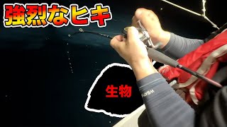 腕を負傷させるほどの強烈なヒキの正体は〇〇だった！！