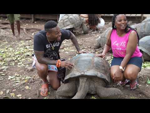 Zanzibar Tour  Vlog: These Tortoises LOVE To Eat.