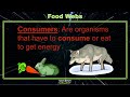 Exploring Food Webs in 5th Grade Science