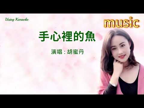 手心裡的魚-胡蜜丹KTV 伴奏 no vocal 無人聲 music 純音樂 karaoke 卡拉OK 伴唱手心里的魚-胡蜜丹