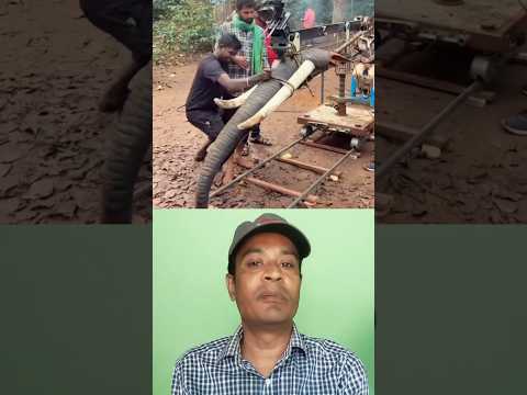 মুভিতে বা নাটকে হাতির শুটিং কিভাবে করা হচ্ছে দেখুন। শুটিং করা দেখুন। #shorts #shootingtime