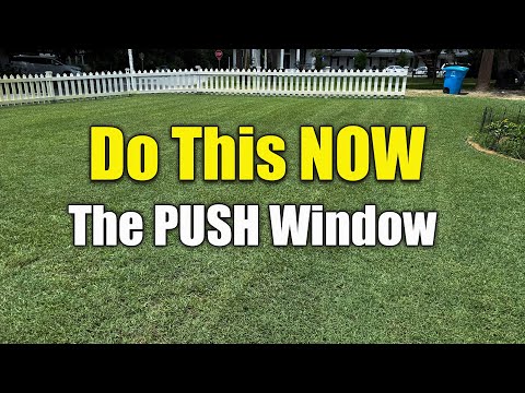 June Lawn Fertilizing Why It's Critical - Thick Green Lawn