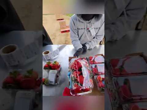 The Faster You Farm, The More You Make (mixteca97)#farming #trendingshorts #fyp