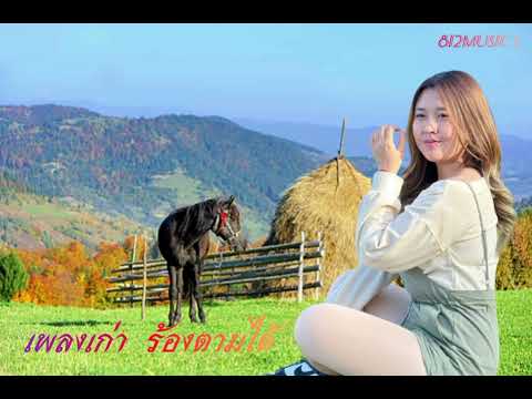 #เพลงเก่าร้องตามได้