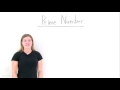 Exploring the World of Prime Numbers